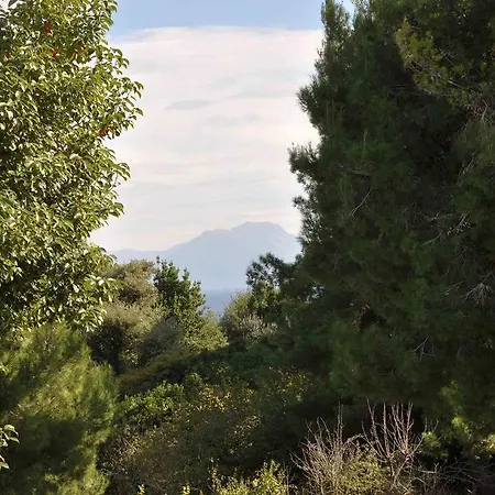 Διαμέρισμα Residenza Le Rose D'arte Νάπολη