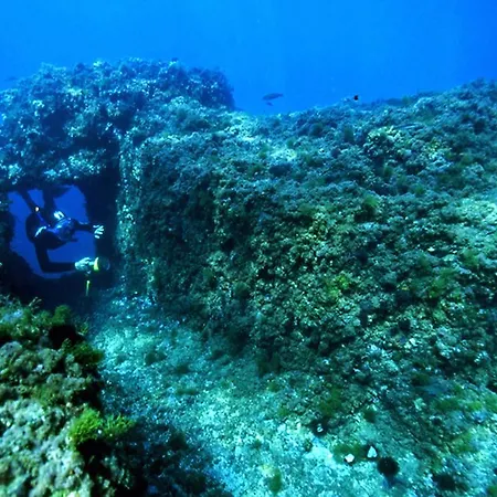 Διαμέρισμα Residenza Le Rose D'arte *