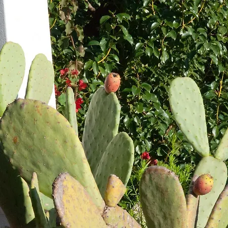 Residenza Le Rose D'arte Διαμέρισμα *