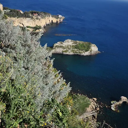 Residenza Le Rose D'arte *