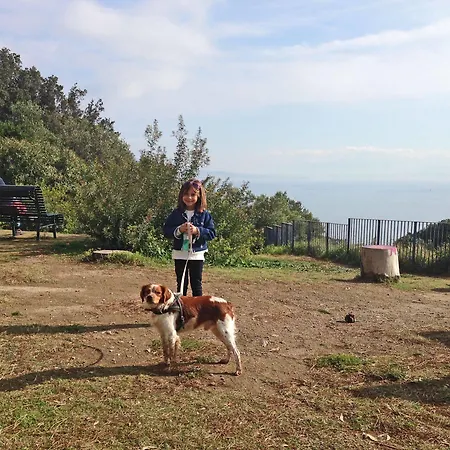 Residenza Le Rose D'arte Διαμέρισμα