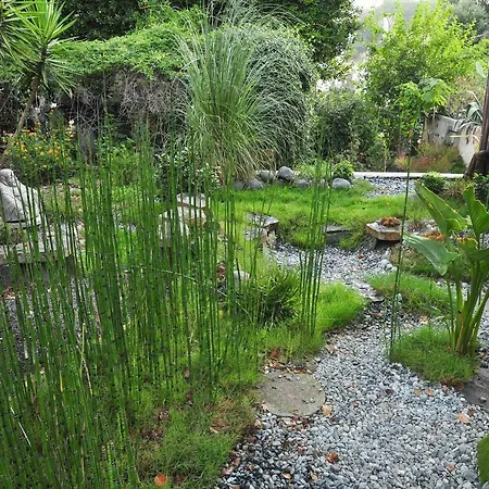 Residenza Le Rose D'arte Διαμέρισμα